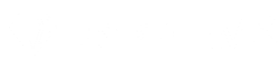 DataGEMS project logo